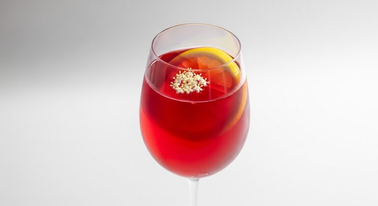 The Ultimate Guide to Crafting the Perfect Elderflower Pinot Noir Spritz